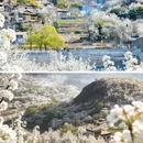 阿坝旅游 缩略图 5