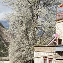 阿坝旅游 缩略图 2