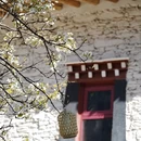 阿坝旅游 缩略图 7