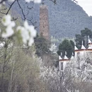 阿坝旅游 缩略图 15