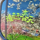 阿坝旅游 缩略图 16