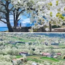 阿坝旅游 缩略图 2