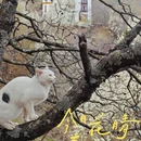 阿坝旅游 缩略图 6