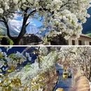 阿坝旅游 缩略图 3