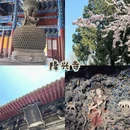 石家庄旅游 缩略图 5