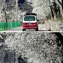 阿坝旅游 缩略图 4