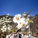 北京旅游 缩略图 3