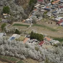 阿坝旅游 缩略图 18