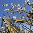 保定旅游 缩略图 8