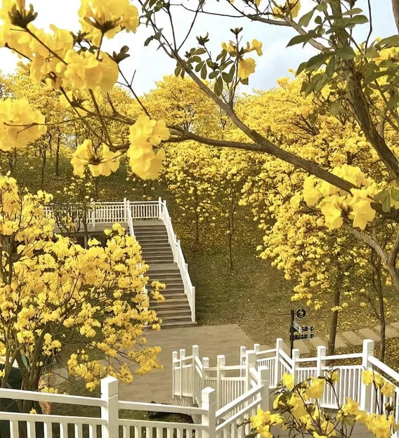 眉山旅游 1