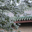 北京旅游 缩略图 4