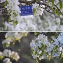 北京旅游 缩略图 2