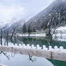 阿坝旅游 缩略图 4