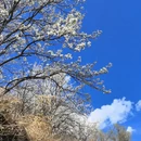 阿坝旅游 缩略图 1