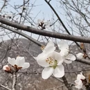 石家庄旅游 缩略图 9