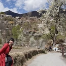 阿坝旅游 缩略图 2
