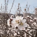 石家庄旅游 缩略图 12