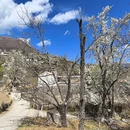 阿坝旅游 缩略图 5