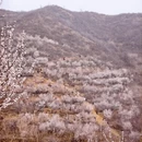 石家庄旅游 缩略图 14