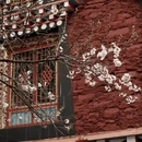 甘孜旅游 缩略图 6
