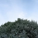 北京旅游 缩略图 6