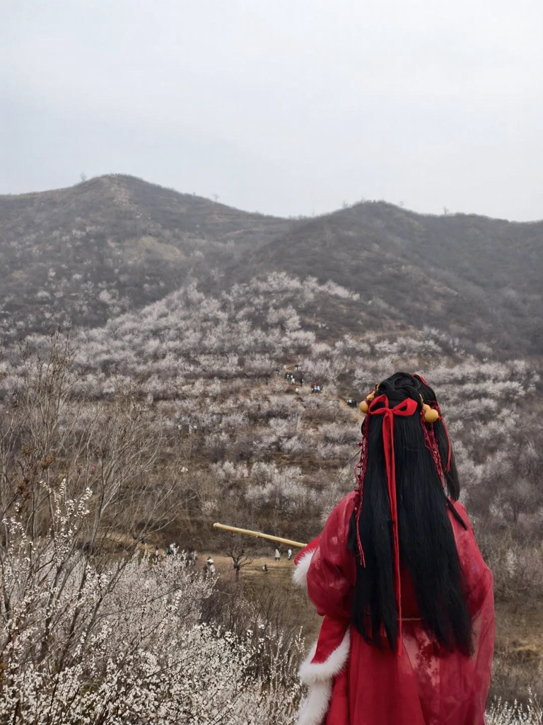 石家庄旅游