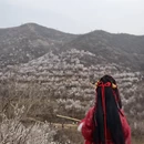 石家庄旅游 缩略图 1