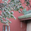 北京旅游 缩略图 5