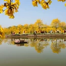 绵阳旅游 缩略图 5
