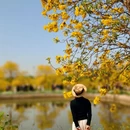 绵阳旅游 缩略图 6