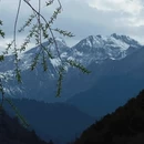 阿坝旅游 缩略图 7