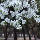 北京旅游 缩略图 8