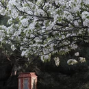 北京旅游 缩略图 9