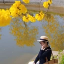 绵阳旅游 缩略图 7