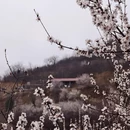 石家庄旅游 缩略图 8