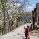 阿坝旅游 缩略图 6
