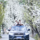 成都旅游 缩略图 5