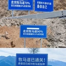 成都旅游 缩略图 12