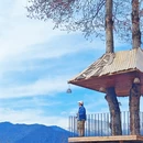 成都旅游 缩略图 16