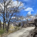 阿坝旅游 缩略图 7