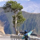 阿坝旅游 缩略图 13