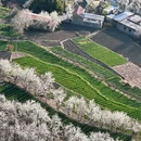 阿坝旅游 缩略图 4