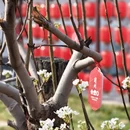 石家庄旅游 缩略图 6