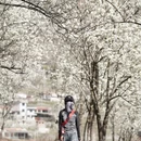 阿坝旅游 缩略图 6