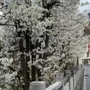 阿坝旅游 缩略图 1
