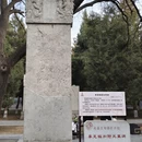 石家庄旅游 缩略图 10