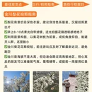 阿坝旅游 缩略图 3