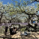 北京旅游 缩略图 4