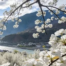 阿坝旅游 缩略图 4