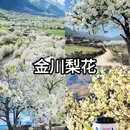 阿坝旅游 缩略图 2
